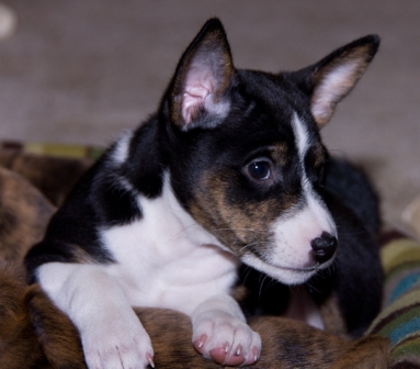 Windy Unwinds (Week 9)